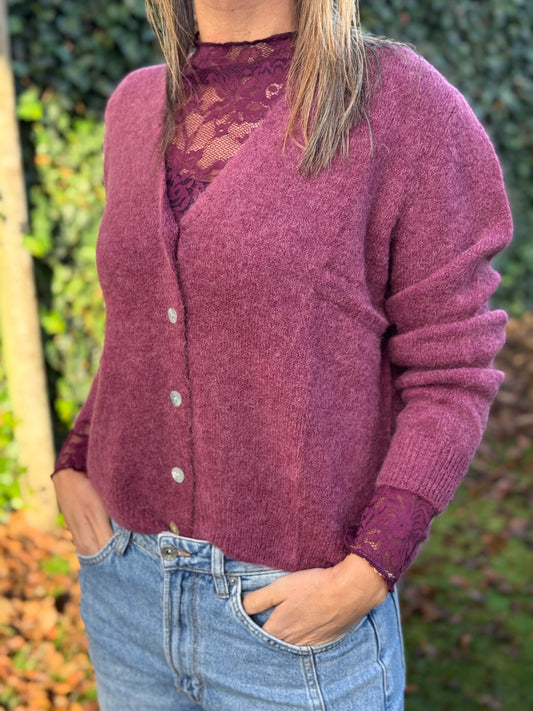 Alpaca vestje (30%) Prune v-hals