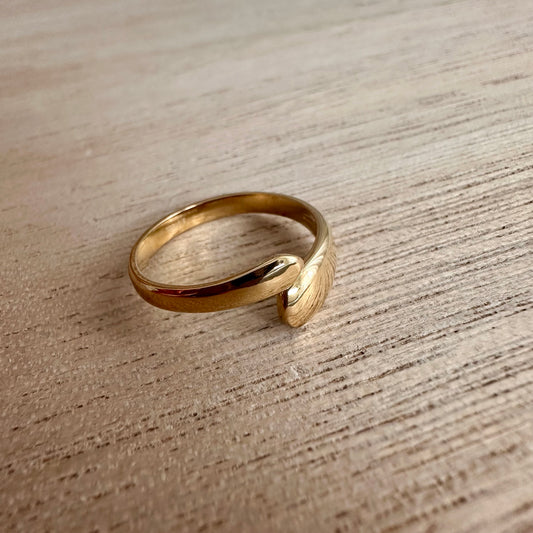 Ring Snake