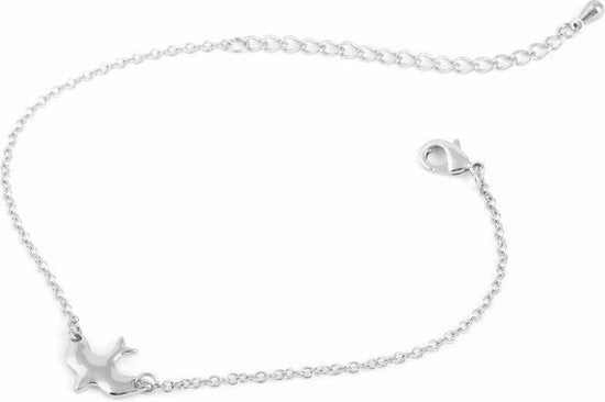Kettinkje 'Bird' Zilver
