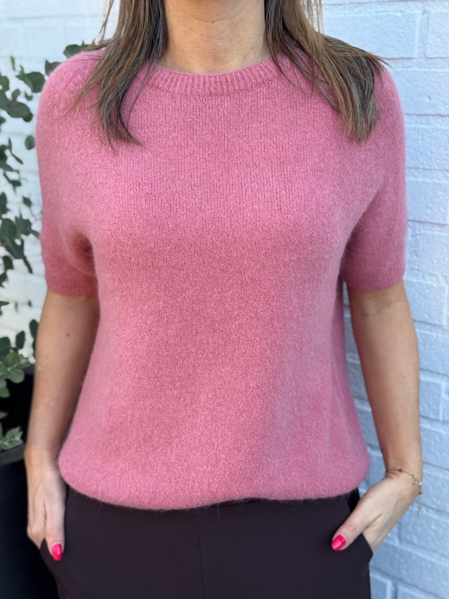 Alpaca trui Lisa Dieproze