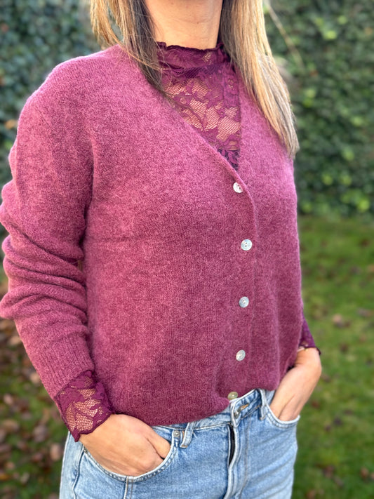 Alpaca vestje (30%) Prune v-hals