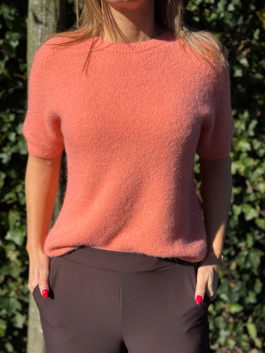 Alpaca trui Lisa Koraal