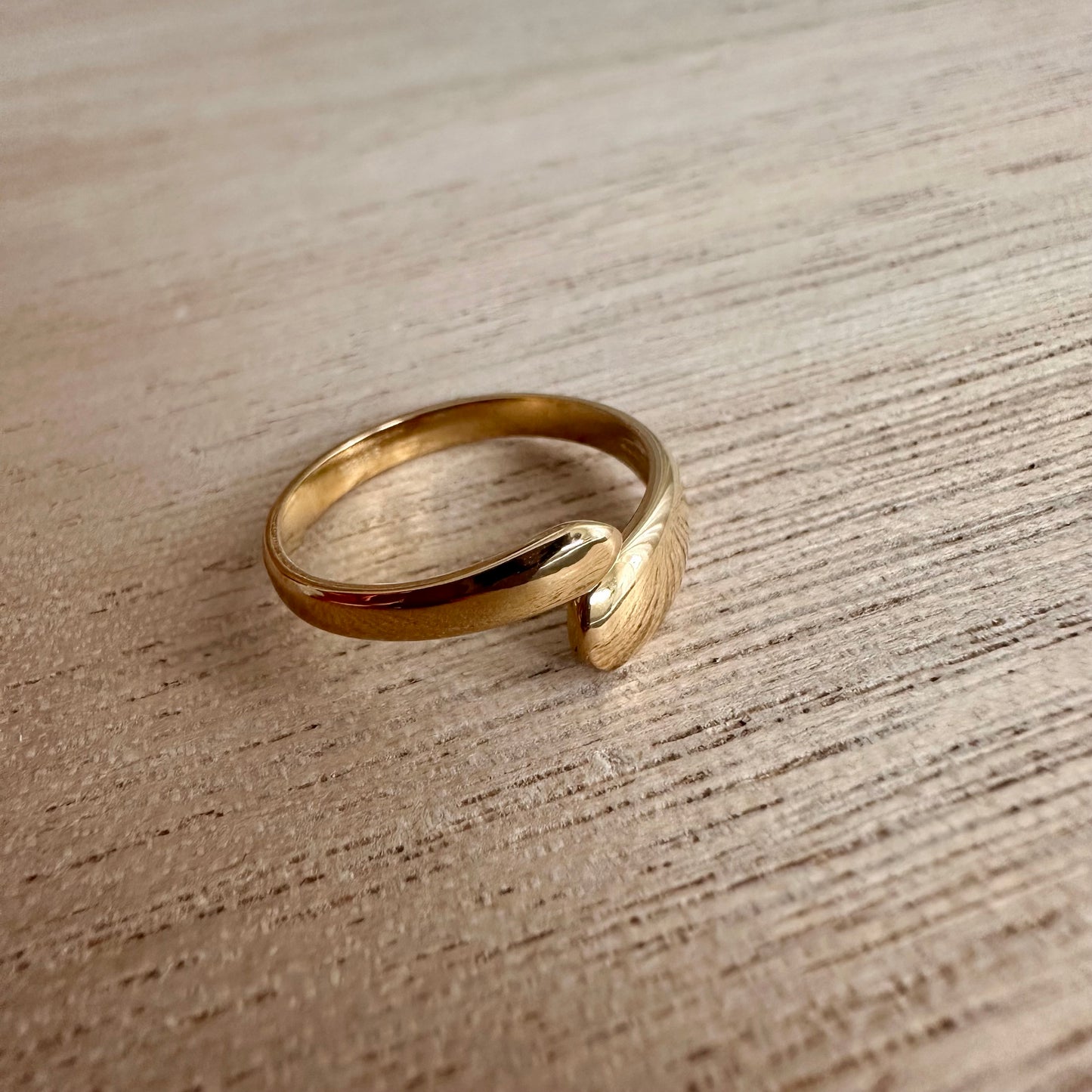 Ring Snake
